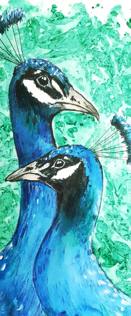 "Peacock love" by Marily Valkijainen