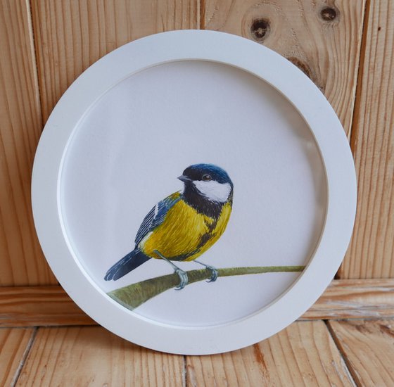 Framed Bird art. Great tit. Part 2