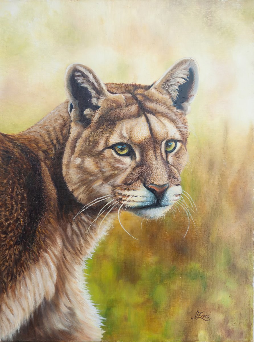 Photorealistic Oil Painting , Wild Majesty By Norma Beatriz Zaro, 12 X 16, Artwork For Sale On Artfinder