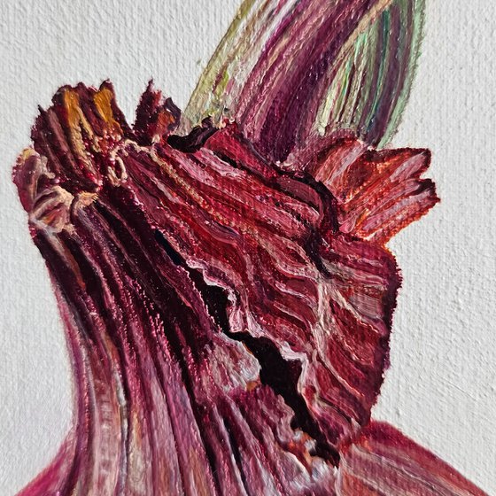 Spring Transformations