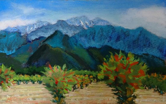 Pomegranates and Pyrenees