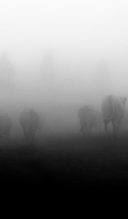 En Liberté..... by PHILIPPE BERTHIER