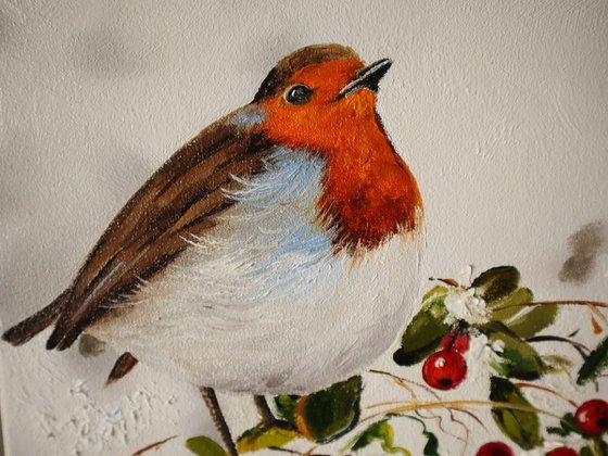 Winter Robin with Holly Berries, Christmas