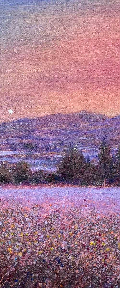 Under A Waking Sky by Jennifer Taylor