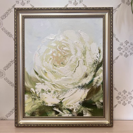 Amazing peony in a frame