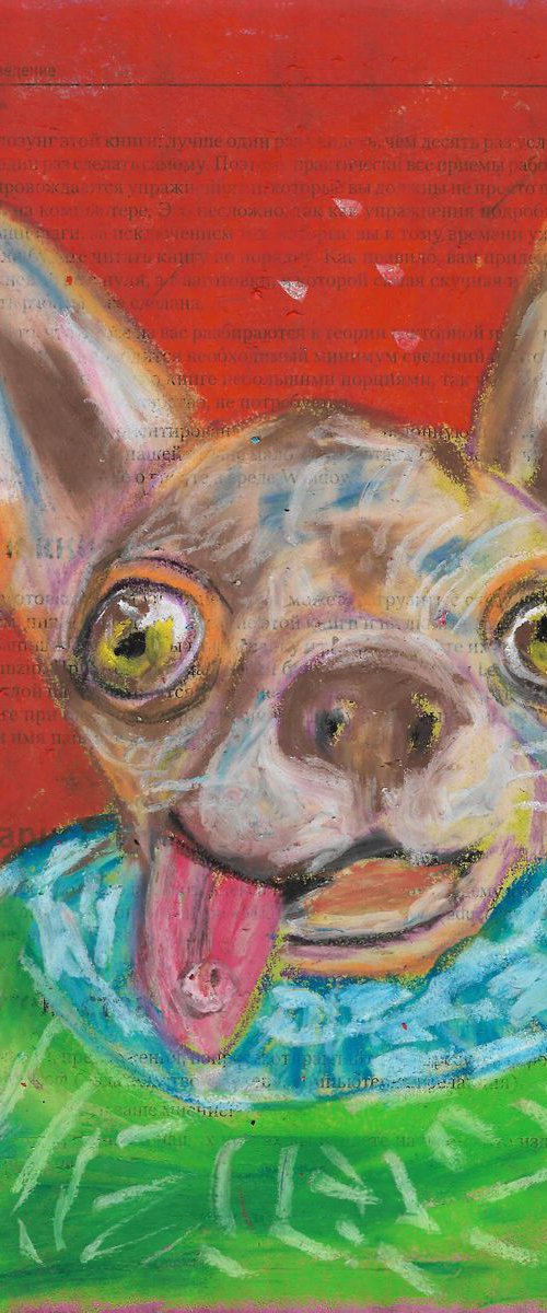 Chihuahua and afterparty by Pavel Kuragin