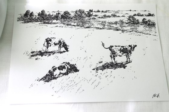 Grazing cows
