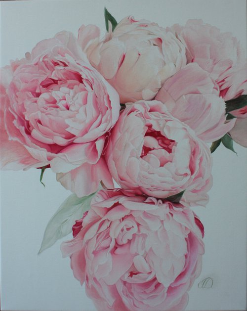 Pink peonies on a white background by Julia Diven