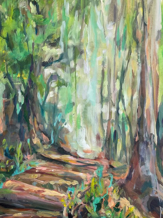 The magic of the Forest