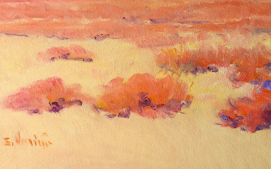 Desert. Southwest