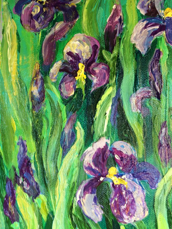 Purple Irises