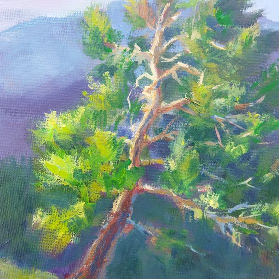 Edge of silence, Mountain landscape