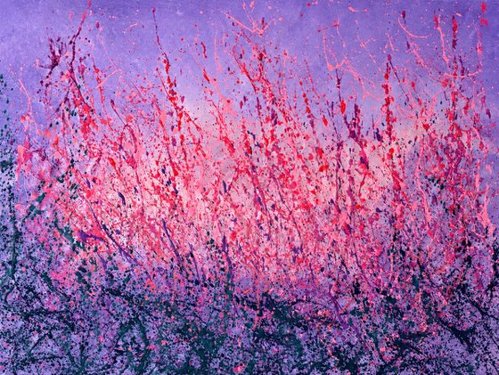 Lavender Symphony