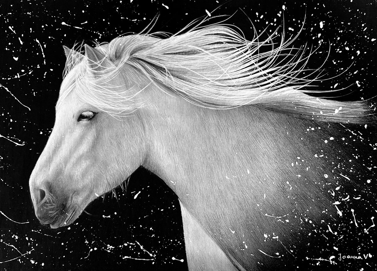 Photorealistic Animal Pencil Drawing By Ioanna Ladopoulou, 17 X 12, Freedom, Original Artwork