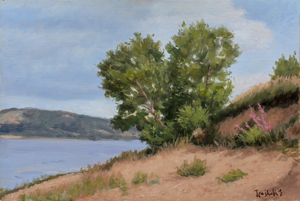 Impressionistic Landscape Oil Painting By Dejan Trajkovic, 21 X 15, The Trees On The Coast Of Lake, Original Artwork