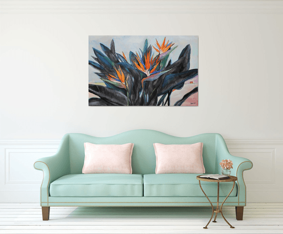 Strelitzia. Bird of Paradise.