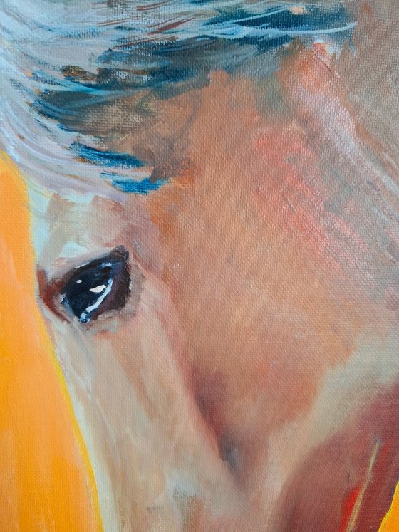 Of course my horse