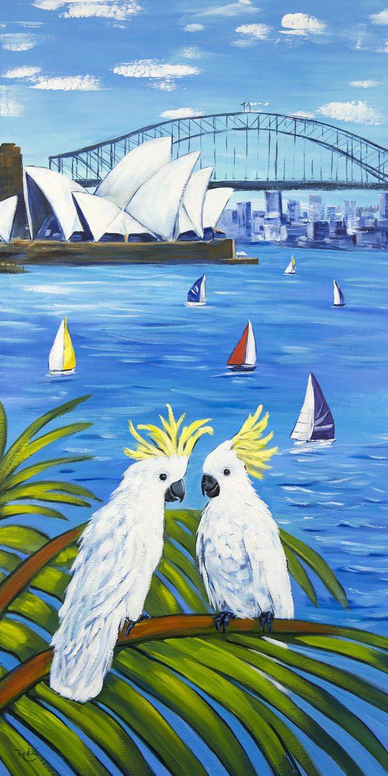 Sydney Cockatoo