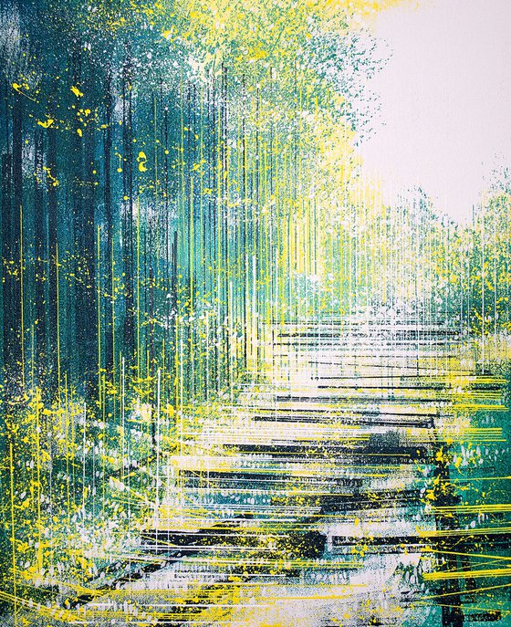 Light Through Spring Forest