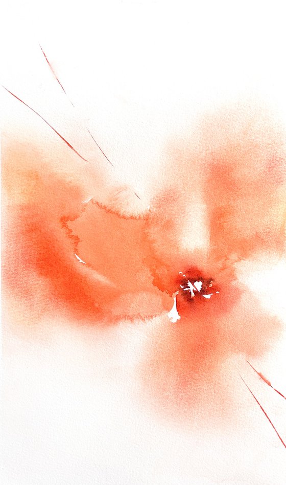 Poppy flowers diptych