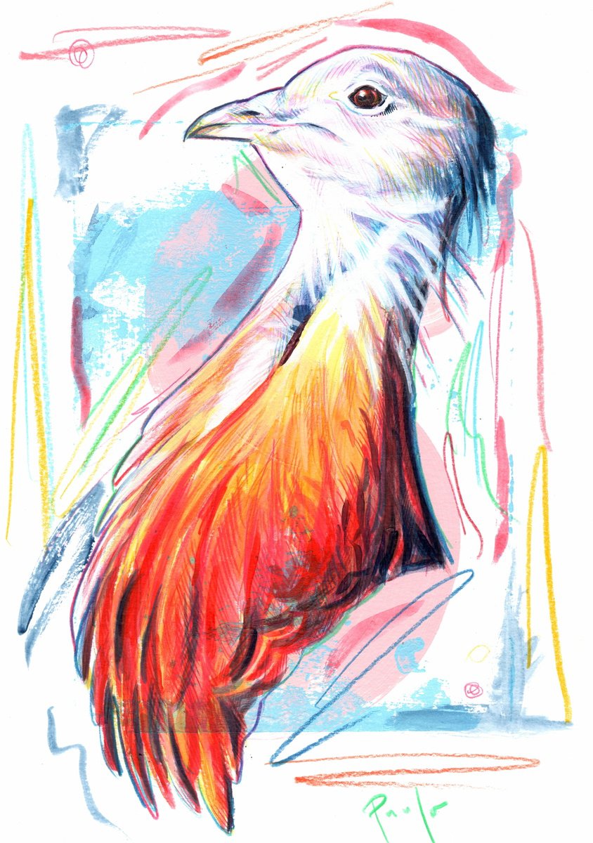 Illustrative Acrylic Painting , Great Bustard By Paul Ward, 8 X 12, Artwork For Sale On Artfinder