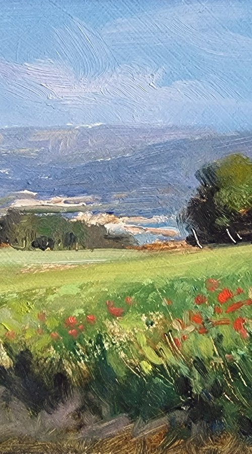 Champs de Rame by Pascal Giroud
