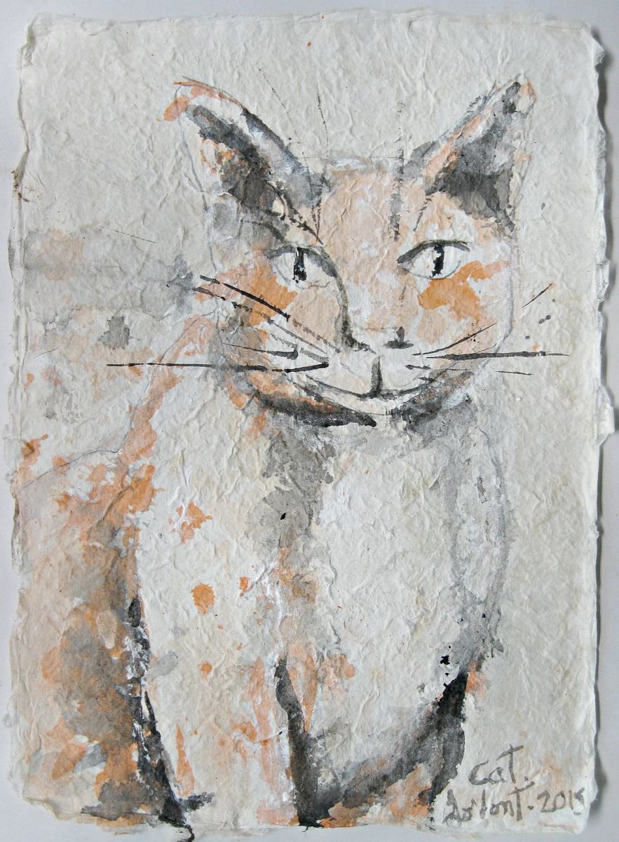 Cat by Gordon Tardio
