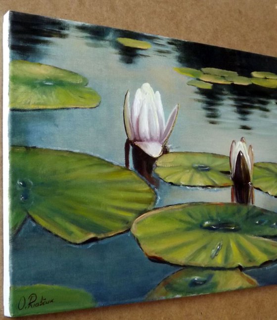 Water Lilies - Reserved for Kelly