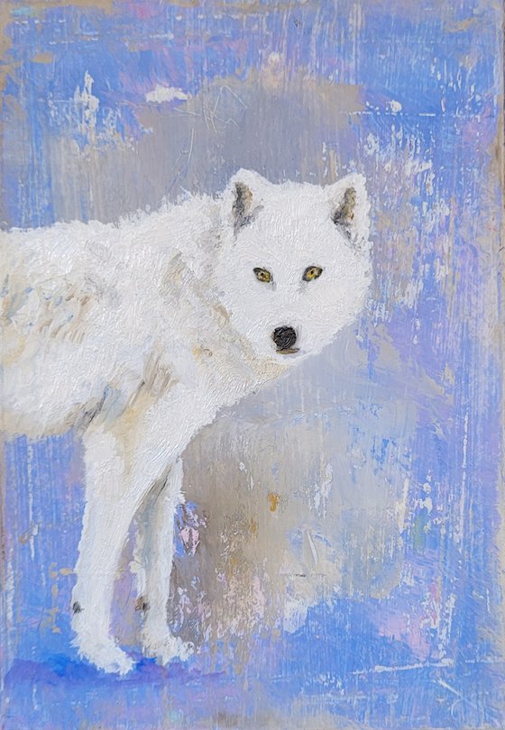 White wolf at dusk