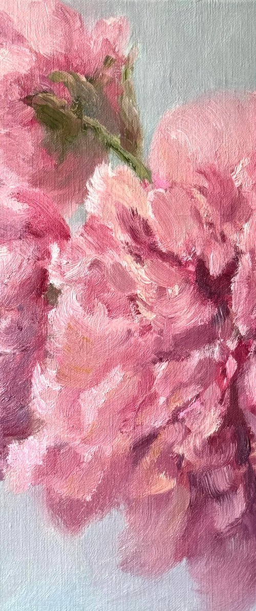 Peonies Memory by Masha Voronovskaya