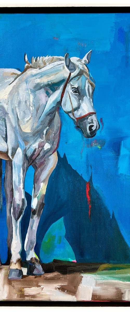Majestic With Blue Background by Jonathan McAfee
