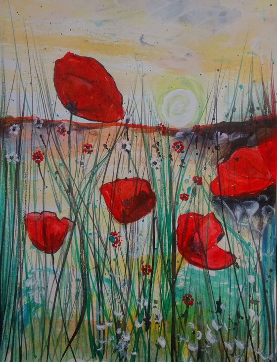 Flowers in the field IV - Red poppies in the sun
