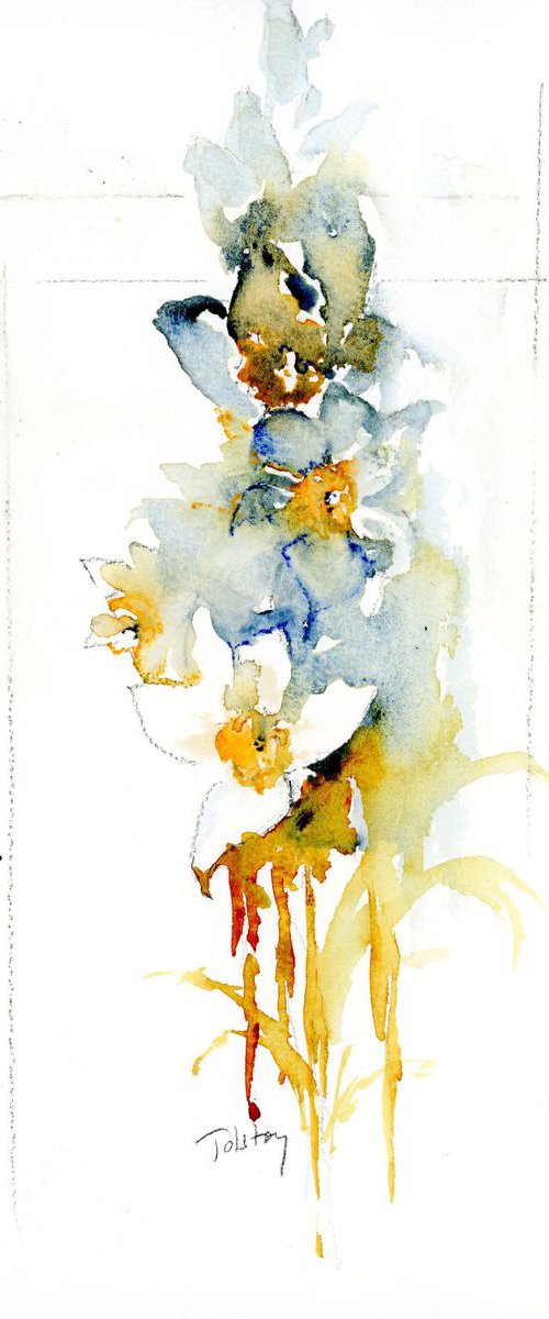 Daffodils by Alex Tolstoy