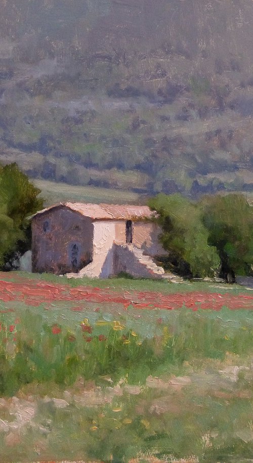 Mas en Haute Provence by Pascal Giroud