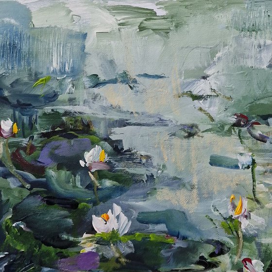 Water lilies 1