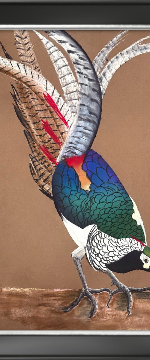 LADY AMHERST’S PHEASANT by Yuliia Sharapova