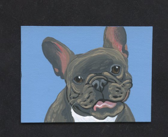 ACEO ATC Original Miniature Painting Brown French Bulldog Pet Dog Art-Carla Smale