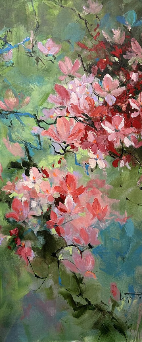 Pink Blossoms by Faiqa Uppal