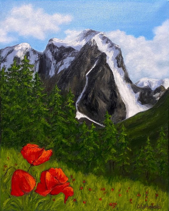 Mountain poppies