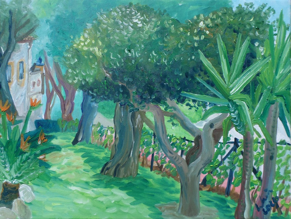 Olive Tree by Kirsty Wain