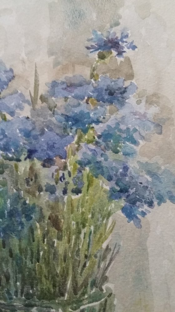 Cornflowers. Original watercolour painting.