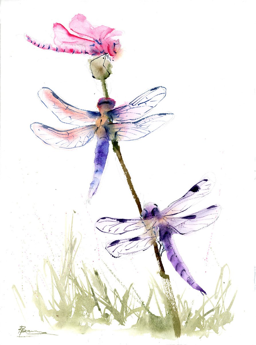 3 Dragonflies by Olga Shefranov (Tchefranova)