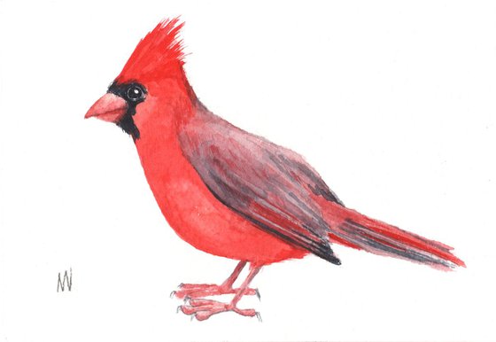 Cardinal.