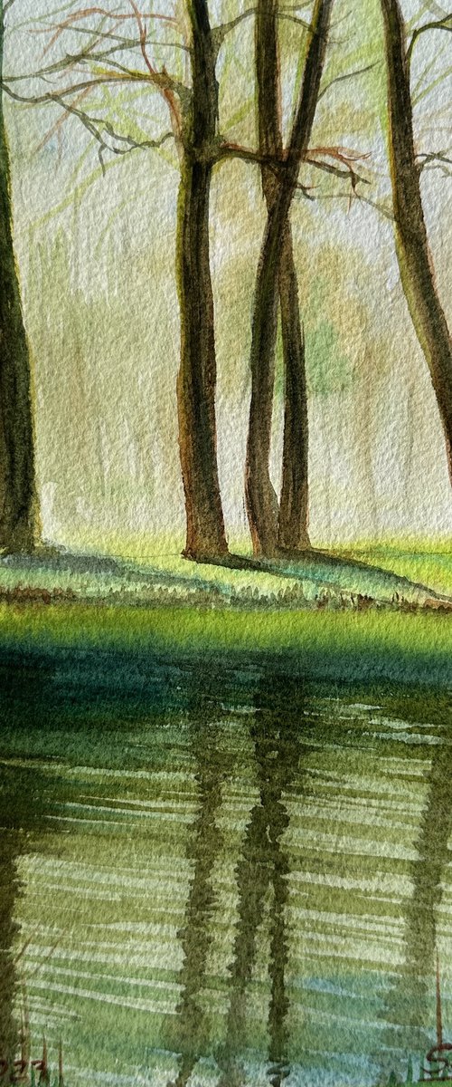 Green Reflections of Spring by Oleksandra Padushyna