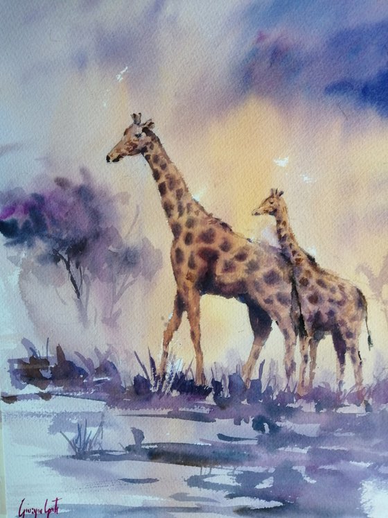 giraffes 4