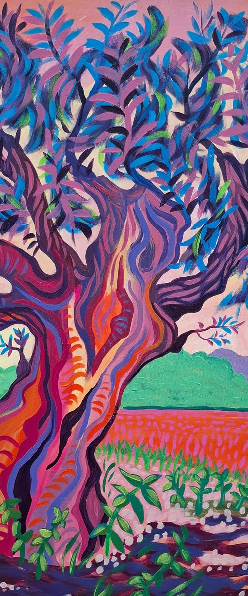 Sunset Olive Tree, Altea by Kirsty Wain
