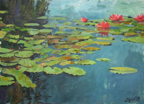 Water lilies II by Goran Žigolić Watercolors