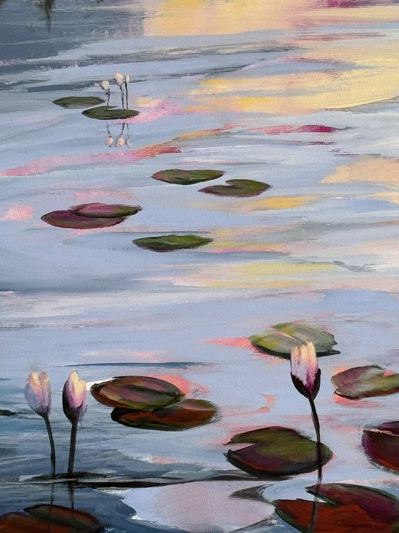 Water Lilies Land 1