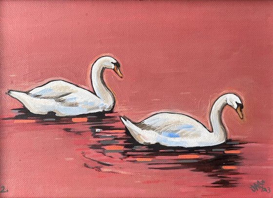 Swan Study #2