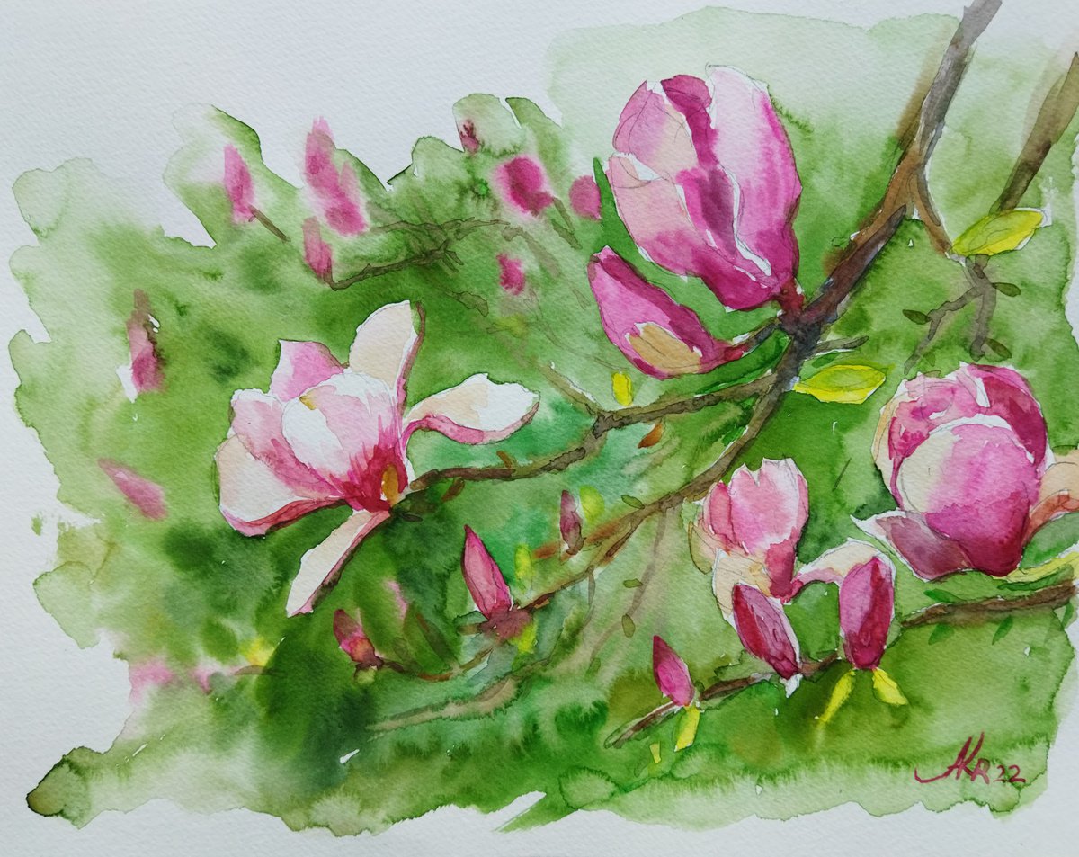 Magnolia in blooming by Ann Krasikova